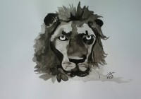 /album/galerie-photos/lion-1-jpg/